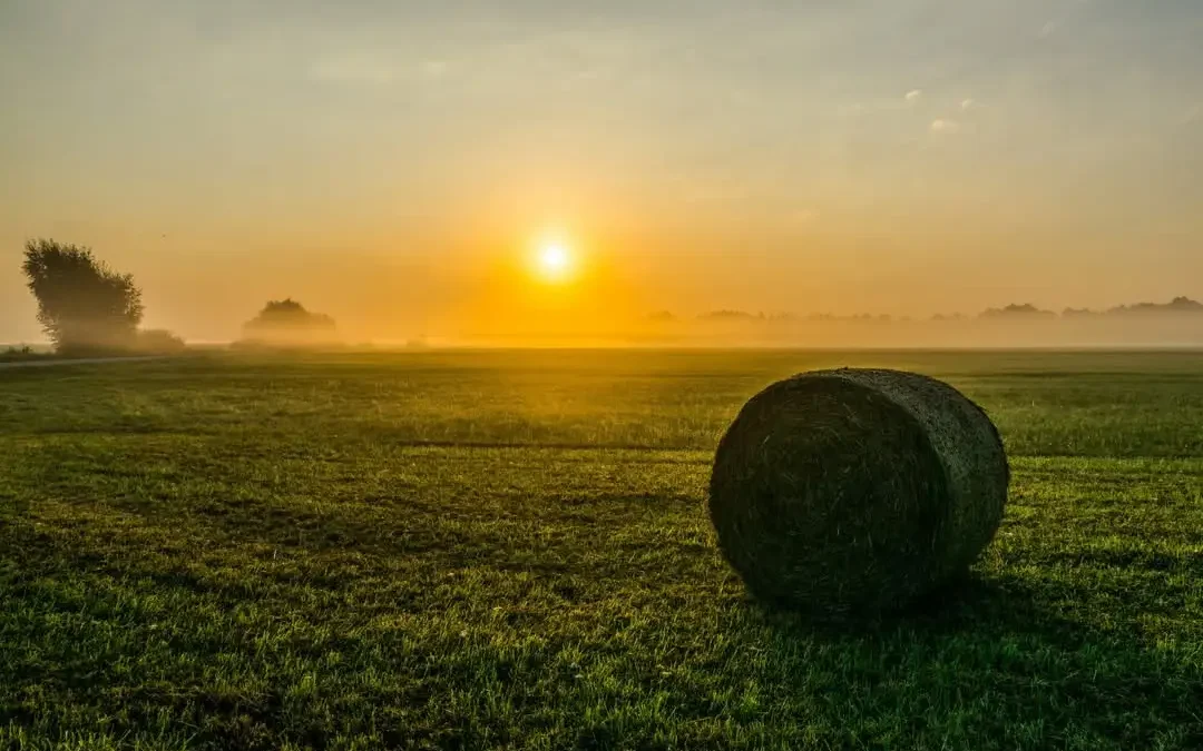 Konkurs fotograficzny o Nagrodę Marszałka Wielkopolski – zgłoszenia tylko do 31 sierpnia