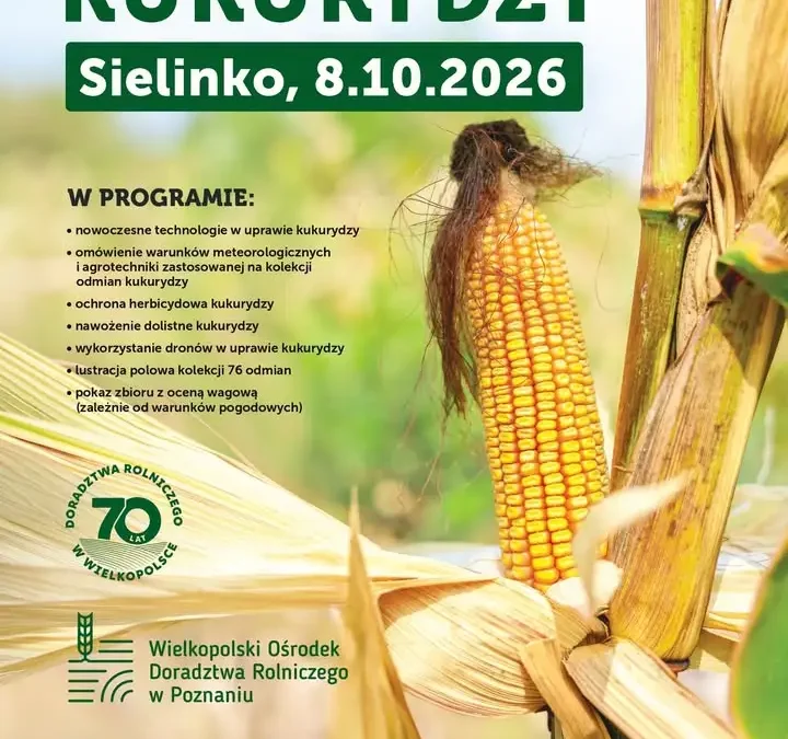 Dzień Kukurydzy w Sielinku – 8 października 2026