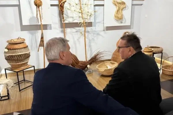 Wiklina opanowała Nowy Tomyśl – wystawa, która łączy sztukę z pomocą